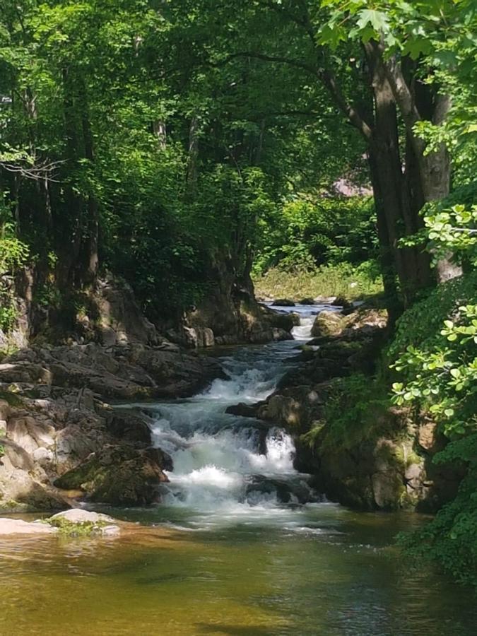 Hejnice Retreat Экстерьер фото